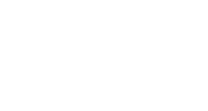 Logo Nürnberg Digital Festival 2021